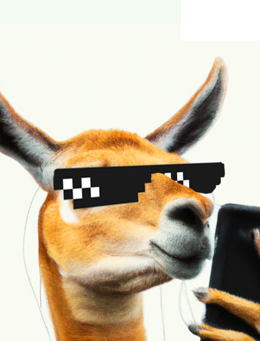 ¿No encontraste la categoría que buscas?                